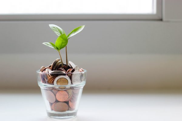 Nachhaltigkeit und Geld sparen