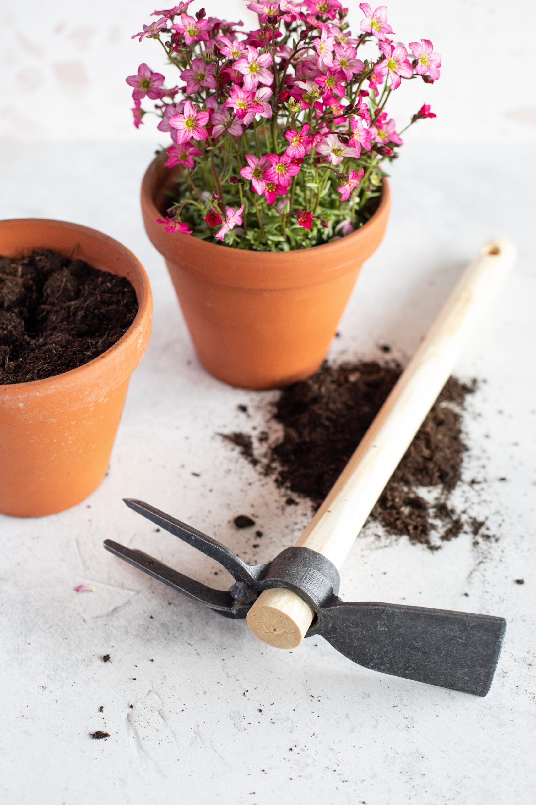 littlebeefresh_Garten_hf-11