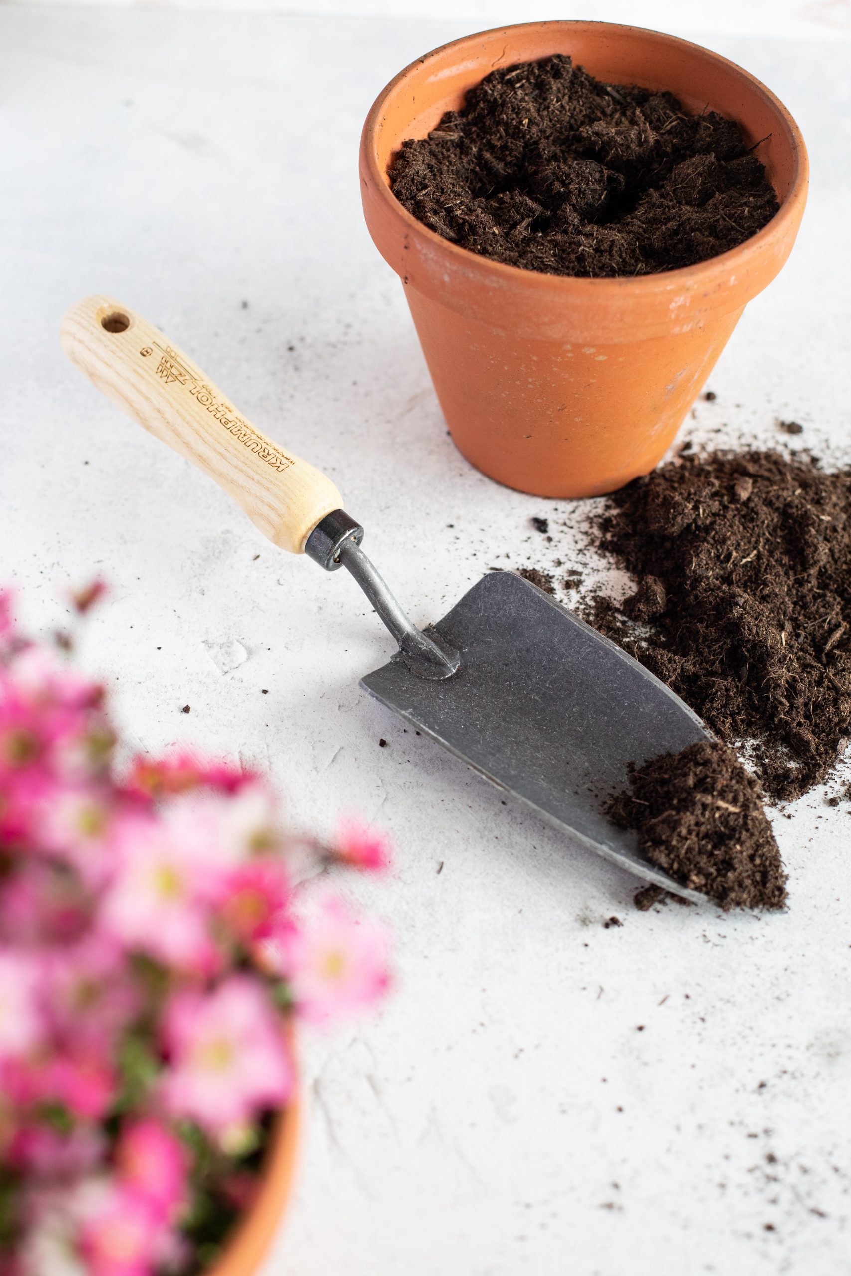 littlebeefresh_Garten_hf-5