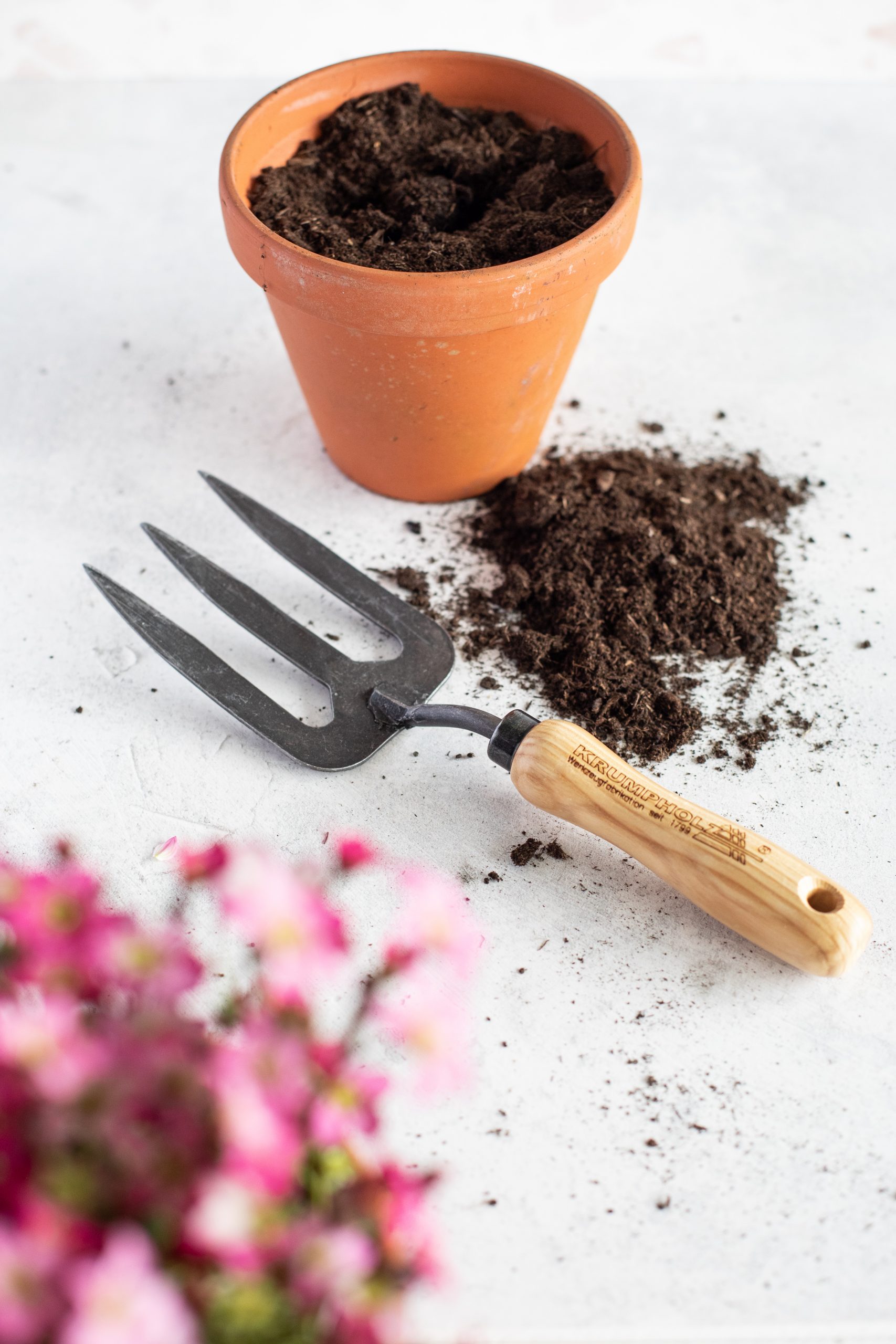 littlebeefresh_Garten_hf-6