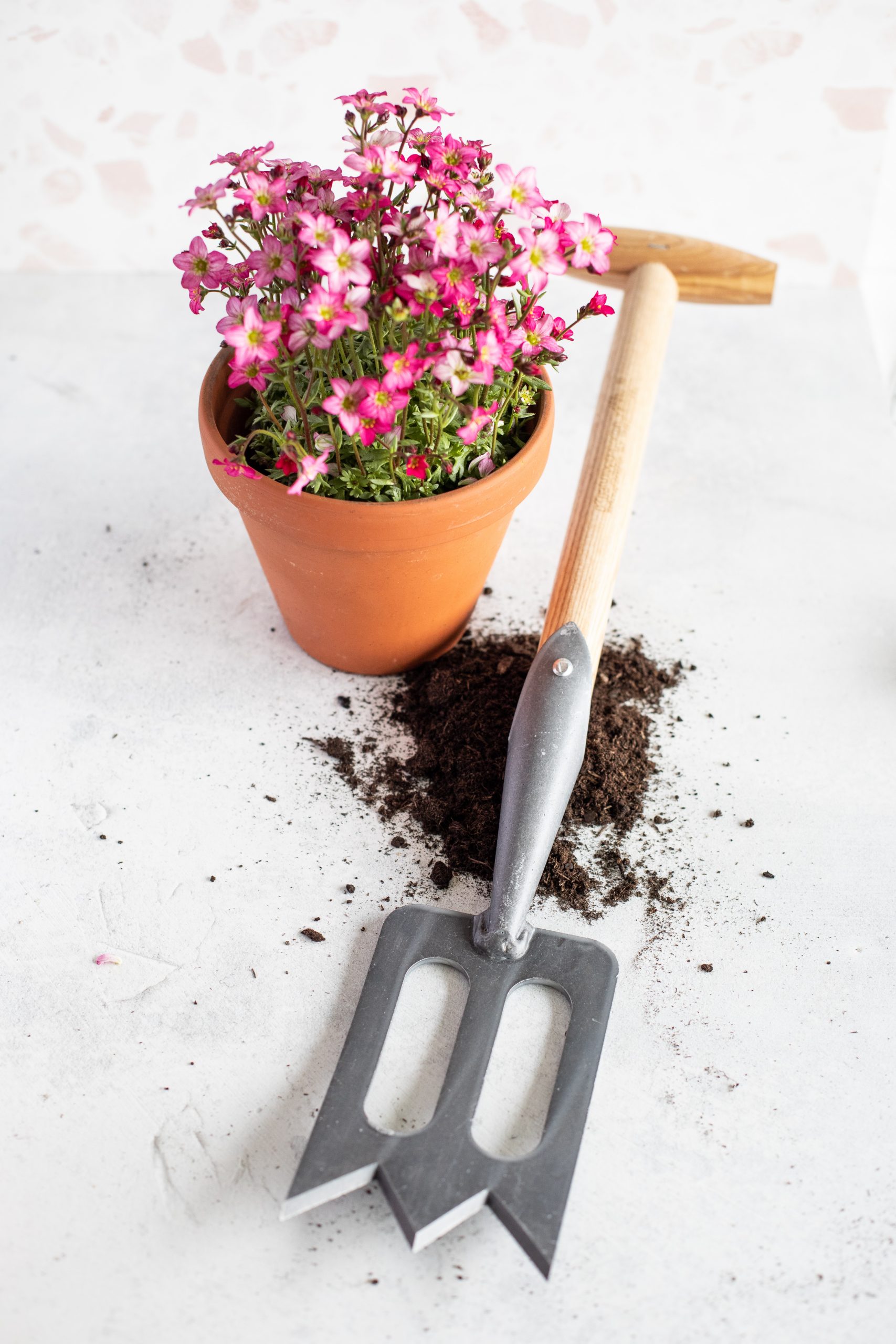 littlebeefresh_Garten_hf_story-14