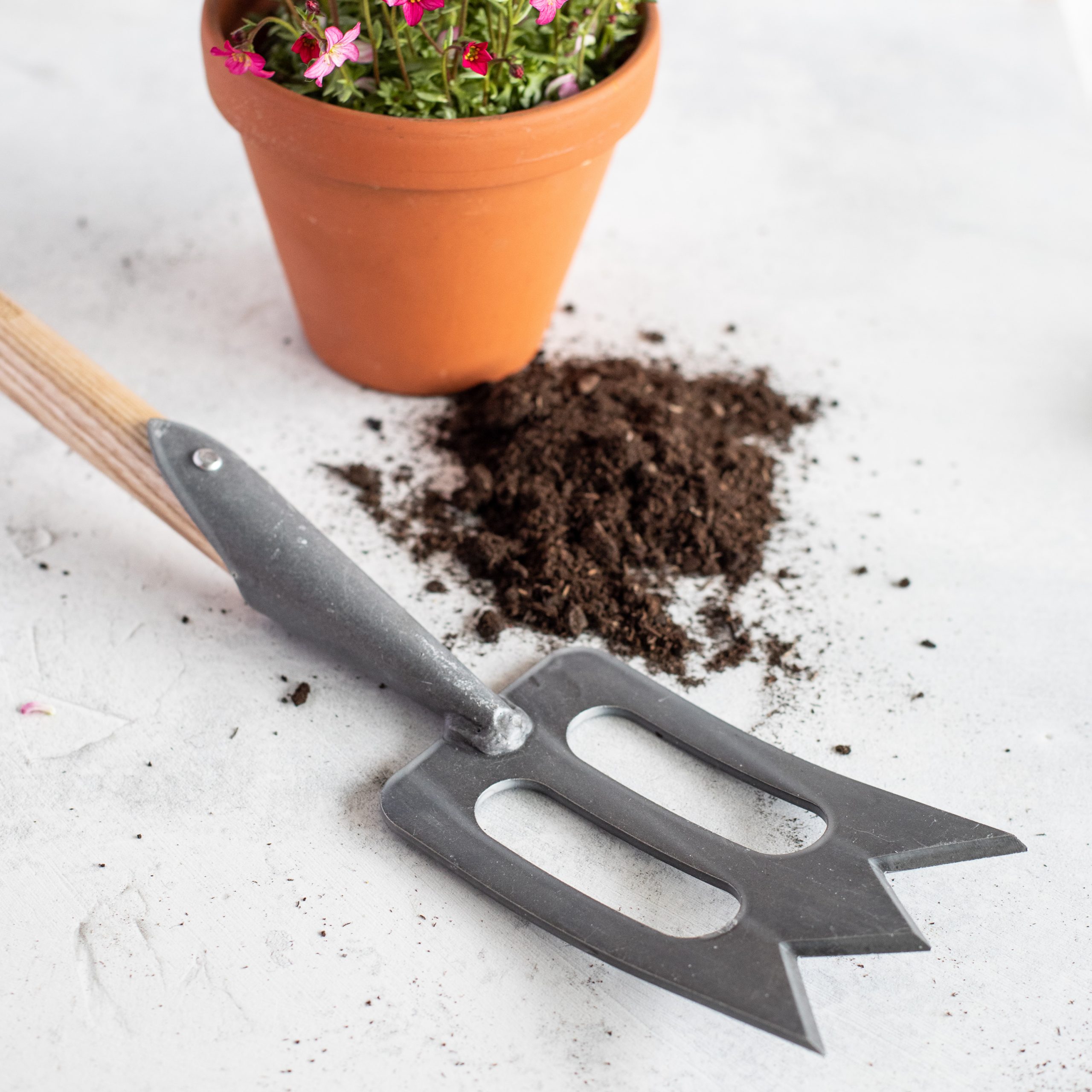littlebeefresh_Garten_q-10