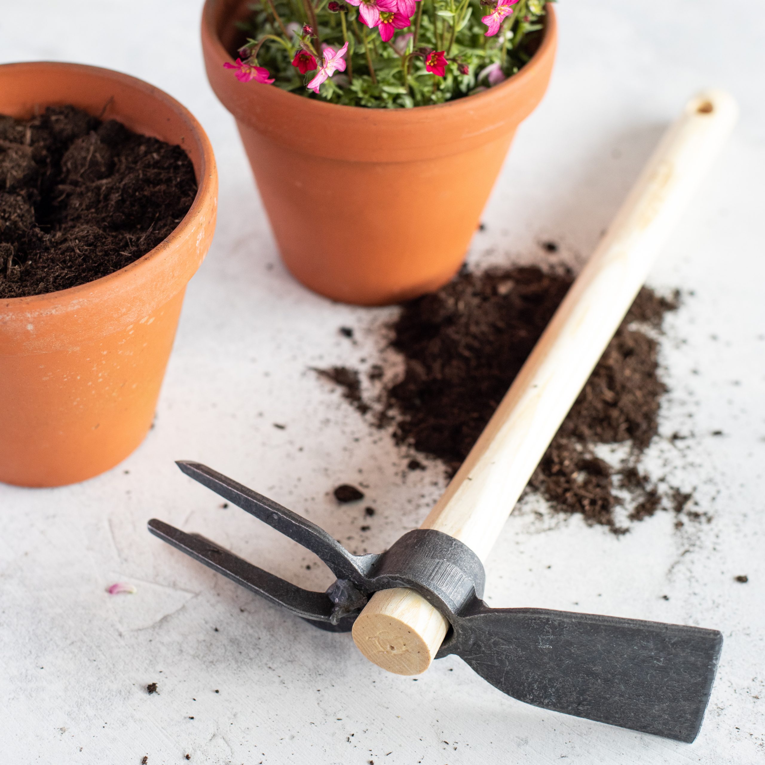 littlebeefresh_Garten_q-12