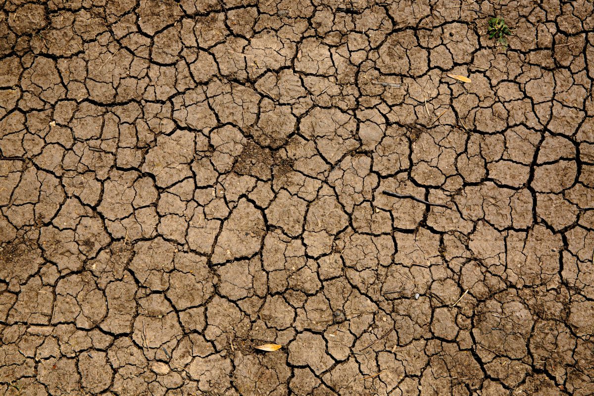 Klimakatastrophe was tun
