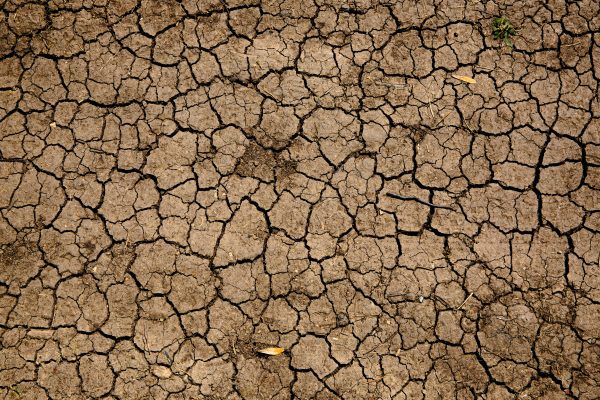 Klimakatastrophe was tun