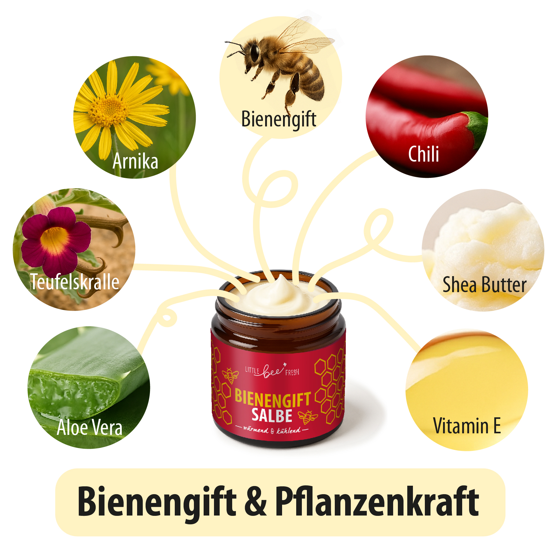 littlebeefresh_Bienengiftsalbe-04