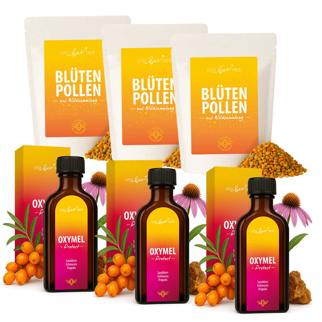 Spar-Set Bienenprodukte 1